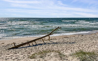 Eftim - 600M from the Sea