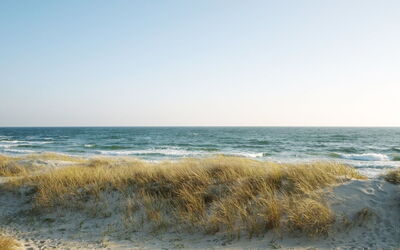 Eftim - 600M from the Sea