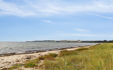 Keijo - 150M from the Sea: Hierba, Verde, Casa, Cabaña, Pradera, Área Rural, Ecorregión, Paisaje, El Terreno Del Lote, Arbusto