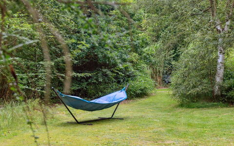 Neela - 300M from the Sea: Verde, Cobertura Del Suelo, Ocio, Luz De Sol, Sombra, Césped, Selva, Jardín