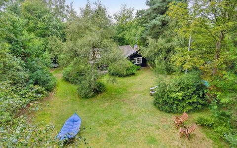 Neela - 300M from the Sea: Arbusto, Casa, Cabaña, Jardín, Casa, Césped, Inmuebles, Paisajismo, Patio Interior, Yarda