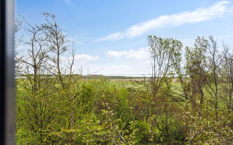 Othinkarl - 1Km from the Sea: Hierba, Pradera, Paisaje, Ecorregión, Llanura, Planta De La Comunidad, El Terreno Del Lote, Mueble Para Exteriores, Pradera, Shrubland