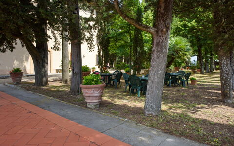 Villa Badiuzza: Planta, Árbol, Maceta, Superficie De La Carretera, Sombra, Diseño Urbano, Hierba, Ocio, Ciudad, Recreación