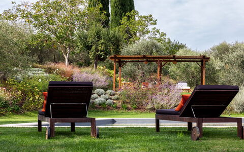 Villa Della Regina: Planta, Banco Al Aire Libre, Mueble, Flor, Botánica, Naturaleza, Sombra, Mueble Para Exteriores, Árbol
