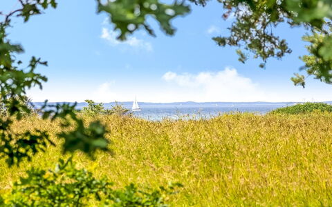 Thara - 100M from the Sea: Cielo, Azul, Verde, Tiempo De Día, Vegetación, Amarillo, Horizonte, Verano, Pradera, Paisaje Natural