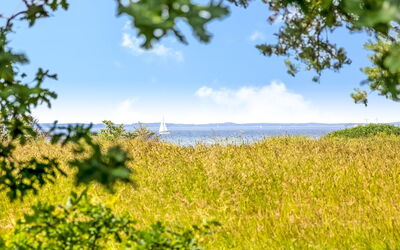 Thara - 100M from the Sea