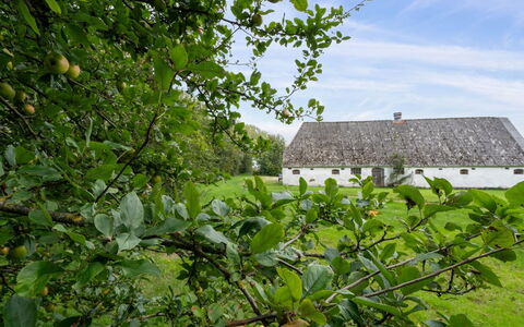 Landuin - 30Km from the Sea: Hierba, Pradera, Paisaje, Ecorregión, Llanura, Planta De La Comunidad, El Terreno Del Lote, Mueble Para Exteriores, Pradera, Shrubland