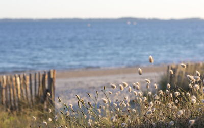Carnac 186