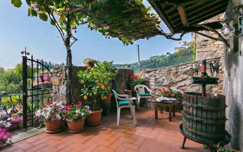 La Casa del Fale di Collodi: Maceta, Planta De Casa, Primavera, Jardín, Floristas, Balcón, Patio, Diseño Floral