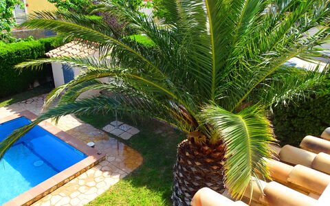 Villa Marisol: Planta, Árbol, Planta Terrestre, Arecales, Fruta, Hierba, Palmera, Mueble Para Exteriores, Hojas Perennes, Sombra