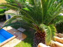 Villa Marisol