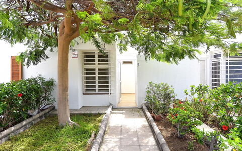 Bungalow Miami Beach Aj06: Planta, Edificio, Propiedad, Hoja, Puerta, Ventana, Superficie De La Carretera, Botánica, Árbol, Arquitectura