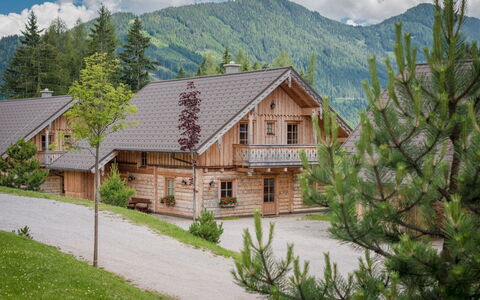 Alojamiento:&nbsp;Holzknecht 400.4