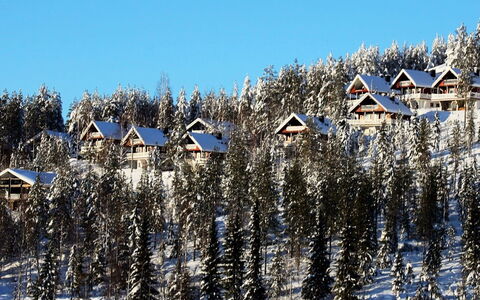Hyrynpirtti Mökki: Madera, Cabaña, Casa, Cuarto De Troncos, Maderas, Vía Muerta, Madera Dura, Material Natural, Edificios Del Jardín, \Choza