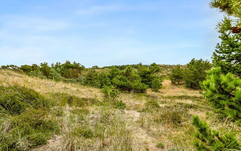 Vemund - 300M from the Sea: Hierba, Pradera, El Terreno Del Lote, Cabaña, Área Rural, Prado, Edificios Del Jardín, Jardín, Cobertizo