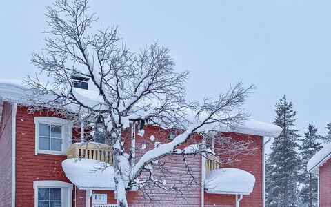 Outapailakka i 1: Madera, Nieve, Invierno, Cabaña, Congelación, Casa, Cuarto De Troncos, Alerce, Vía Muerta