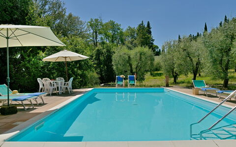 Torre Di Montelopio: Agua, Piscina, Mueble, Planta, Cielo, Silla, Naturaleza, Azur, Árbol, Mueble Para Exteriores