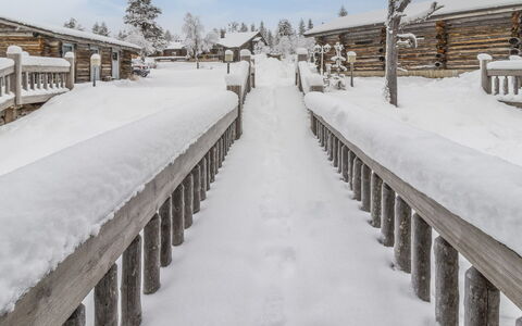 Talles: Nieve, Madera, Invierno, Congelación, Pendiente, Tablón, Escarcha, Maderas, Madera Dura
