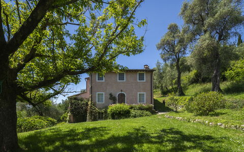 La Casa Dei Limoni, Camaiore, Pet Friendly, Wifi: Árbol, Hierba, Hoja, Naturaleza, Vegetación, Arbusto, Casa, Área Rural, Paisaje