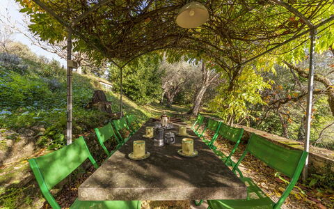 La Casa Dei Limoni, Camaiore, Pet Friendly, Wifi: Planta, Planta De La Comunidad, Verde, Paisaje Natural, Planta Terrestre, Árbol, Hierba, Sombra, Plantas Leñosas, Ocio