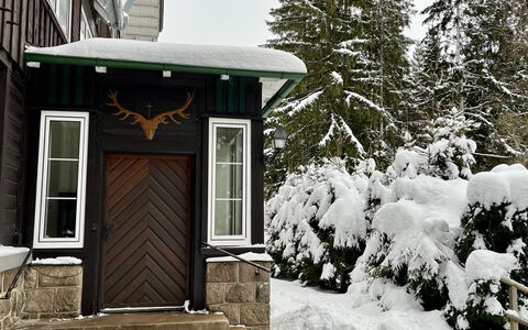 Amina: Ventana, Edificio, Nieve, Planta, Árbol, Casa, Madera, Cabaña, Puerta, Congelación