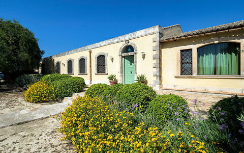 Casa Colore - Siracusa, Sicilia: Planta, Flor, Cielo, Ventana, Botánica, Edificio, Hierba, Paisaje, Barrio Residencial, Arbusto