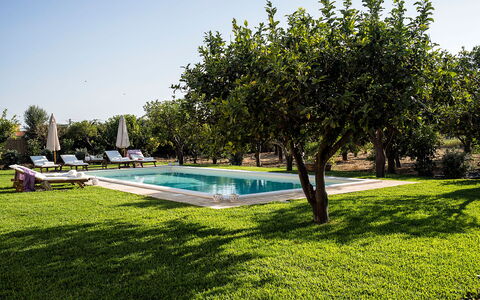Casa Colore - Siracusa, Sicilia: Planta, Cielo, Agua, Edificio, Árbol, Piscina, Sombra, Paisaje Natural, Ocio, Hierba