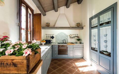 Casa Colore - Siracusa, Sicilia: Flor, Gabinetes, Mostrador, Propiedad, Planta, Ventana, Diseño De Interiores, Estufa De Cocina, Cocina, Arquitectura
