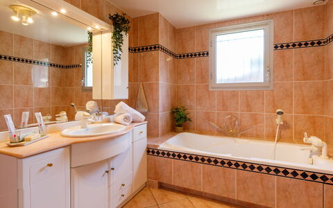 L'Oiseau Bleu: Baño, Lavabo Del Baño, Diseño De Interiores, Lavabo, Arreglo De Tubería, Mostrador, Piso, Bañera, Suelo, Espejo