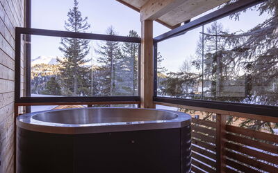 Alojamiento:&nbsp;Superior # 9 mit Sauna & Hot Tub 160.9