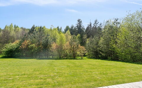 Tian: Verde, Árbol, Hierba, Arbusto, El Terreno Del Lote, Llanura, Jardín, Prado, Primavera