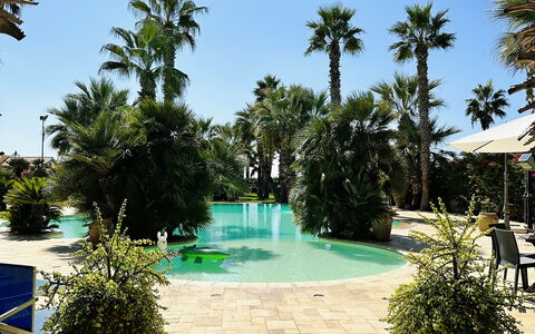 Villa Rosarno: Planta, Agua, Cielo, Maceta, Árbol, Azur, Piscina, Arecales, Vegetación, Ocio