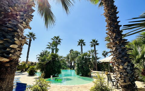 Villa Rosarno: Planta, Cielo, Agua, Naturaleza, Azur, Árbol, Arecales, Vegetación, Ocio, Plantas Leñosas