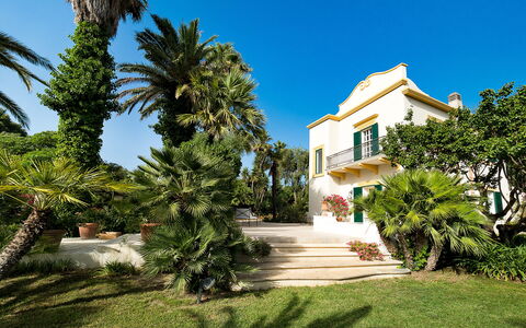 Casa Fiore - Salemi, Sicilia: Cielo, Planta, Edificio, Árbol, Ventana, Arecales, Barrio Residencial, Paisaje, Fachada, Diseño Urbano