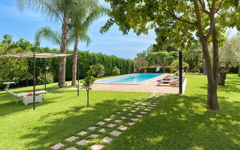 Oasi Verde - Santa Maria La Stella, Sicilia: Planta, Agua, Cielo, Piscina, Árbol, Sombra, Mueble Para Exteriores, El Terreno Del Lote, Ocio, Arecales