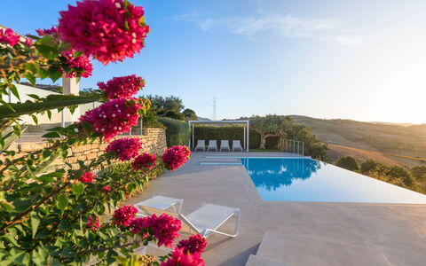 Mirabilia - Tangi, Sicilia: Cielo, Flor, Planta, Agua, Nube, Piscina, Árbol, Ocio, Paisaje, Arecales