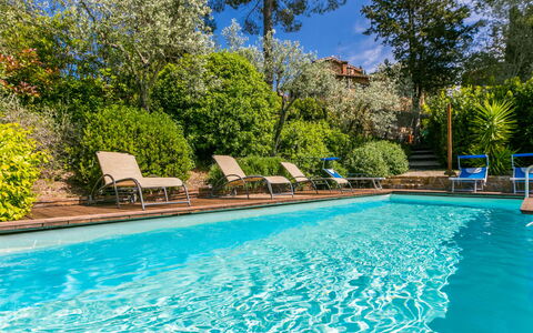 Sole: Agua, Planta, Propiedad, Mueble, Piscina, Azur, Azul, Árbol, Mueble Para Exteriores, Sombra