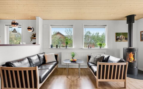 Ensio - 300M to the Fjord: Mueble, Piso, Diseño De Interiores, Madera, Suelo, Suelos De Madera, Sala, Sofá, Casa, Techo