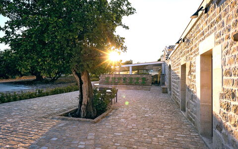 Casa Masseria - Scicli, Sicilia: Planta, Cielo, Edificio, Superficie De La Carretera, Árbol, Piso, Asfalto, Hierba, Paisaje, La Carretera