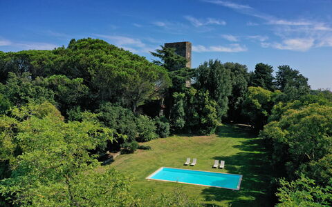 Torre Delle Cornacchie: Nube, Cielo, Propiedad, Verde, Planta, Paisaje Natural, Botánica, El Terreno Del Lote, Árbol, Hierba