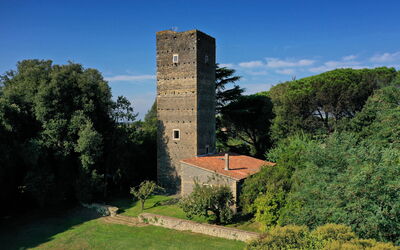 Torre Delle Cornacchie: Cielo, Planta, Nube, Árbol, Edificio, Torre, Paisaje Natural, Hierba, Paisaje, Arbusto