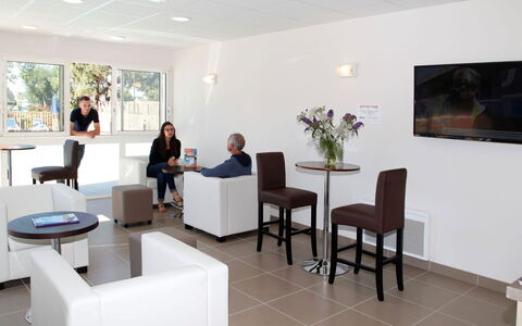 Baden 800: Mueble, Planta, Silla, Mesa, Comodidad, Planta De Casa, Arquitectura, Diseño De Interiores, Sala, Piso