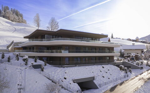 Hopfgarten im Brixental 500: Arquitectura, Balcón