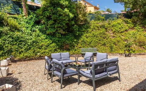 Dalia: Mueble, Mueble Para Exteriores, Silla, Arbusto, Jardín, Planta De La Comunidad, Mesa Al Aire Libre, Cobertura Del Suelo, Sombra