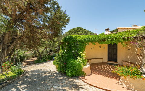 La Casetta del Mare: Planta, Edificio, Cielo, Planta De La Comunidad, Ventana, El Terreno Del Lote, Cabaña, Árbol, Casa, Superficie De La Carretera