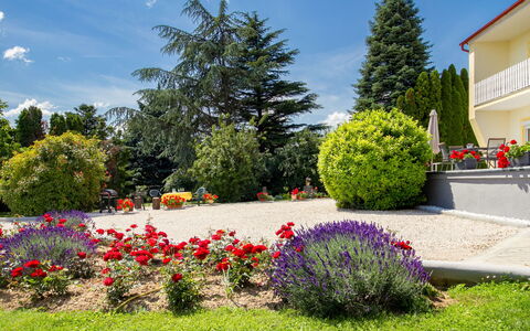 Cserszeg: Flor, Planta, Cielo, Nube, Hoja, Árbol, Botánica, Paisaje Natural, Ventana, Biome
