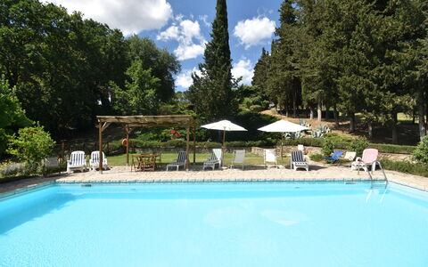 Podere Le Muricce: Agua, Nube, Planta, Cielo, Piscina, Azur, Sombra, Árbol, Silla, Paraguas
