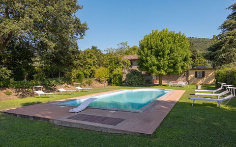 Villa Marconi: Planta, Agua, Cielo, Piscina, Árbol, Sombra, Arquitectura, Mueble Para Exteriores, Hierba, Ocio