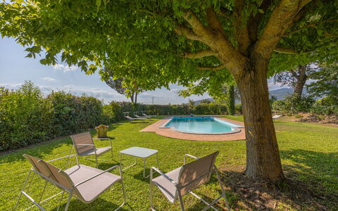 Villa Marconi: Planta, Planta De La Comunidad, Mueble, Mesa, Árbol, Sombra, Mueble Para Exteriores, El Terreno Del Lote, Vegetación, Silla