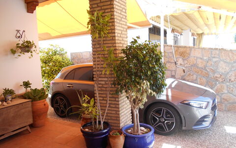 Apartamento Playa De Regla: Rueda, Planta, Coche, Propiedad, Maceta, Vehículo, Neumático En, Planta De Casa